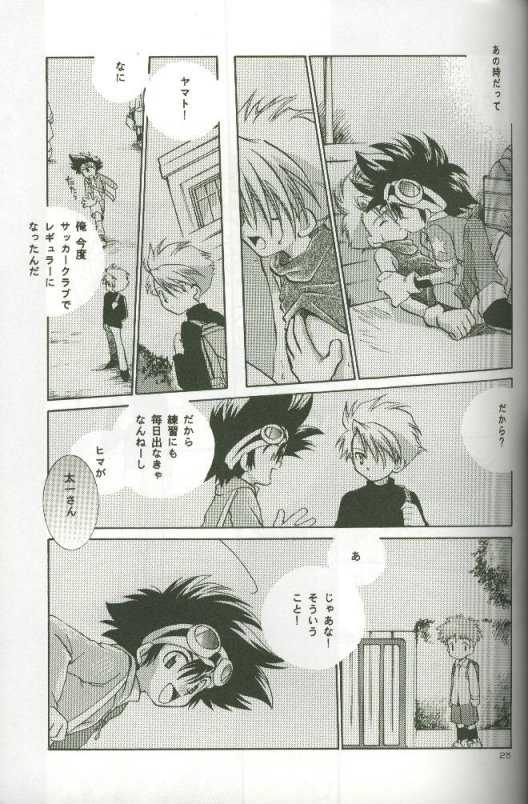 (C58) [Megumi (Saitoh Maho)] Cyber Frontier (Digimon Adventure) - Page 23