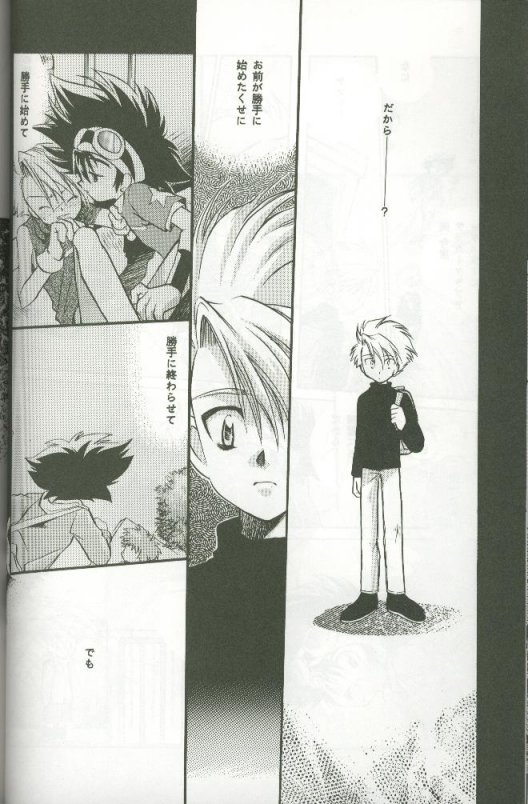 (C58) [Megumi (Saitoh Maho)] Cyber Frontier (Digimon Adventure) - Page 24