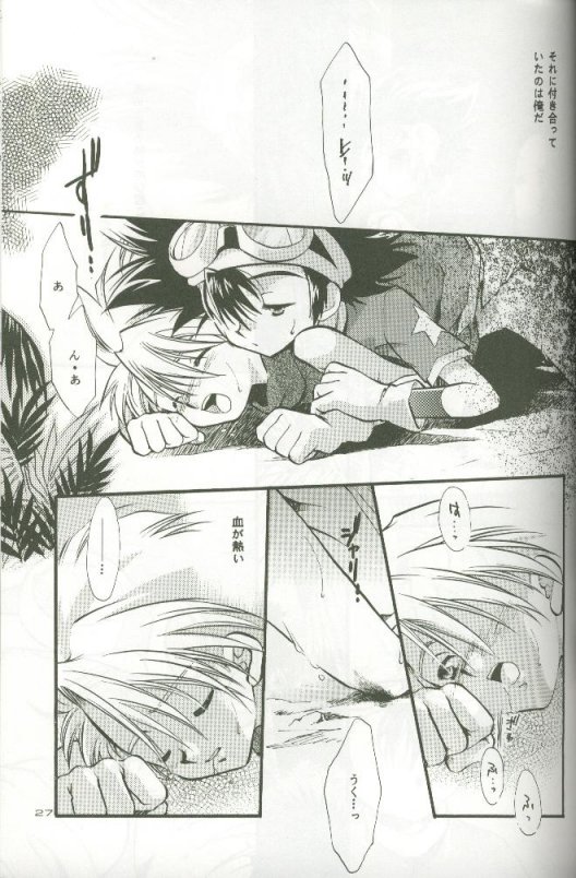 (C58) [Megumi (Saitoh Maho)] Cyber Frontier (Digimon Adventure) - Page 25