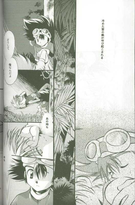 (C58) [Megumi (Saitoh Maho)] Cyber Frontier (Digimon Adventure) - Page 26