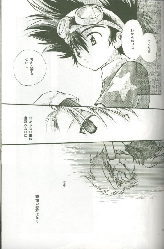 (C58) [Megumi (Saitoh Maho)] Cyber Frontier (Digimon Adventure) - Page 27