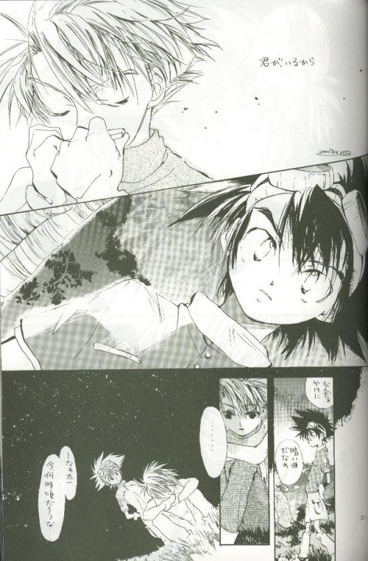 (C58) [Megumi (Saitoh Maho)] Cyber Frontier (Digimon Adventure) - Page 29