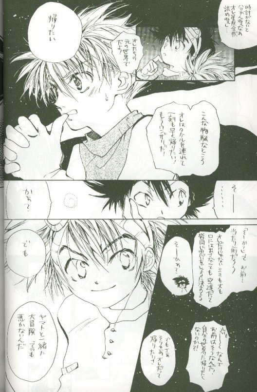(C58) [Megumi (Saitoh Maho)] Cyber Frontier (Digimon Adventure) - Page 30