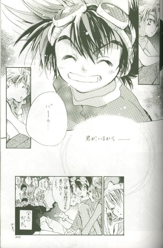 (C58) [Megumi (Saitoh Maho)] Cyber Frontier (Digimon Adventure) - Page 31