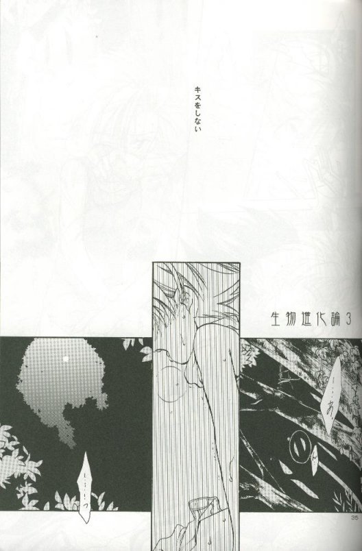 (C58) [Megumi (Saitoh Maho)] Cyber Frontier (Digimon Adventure) - Page 33