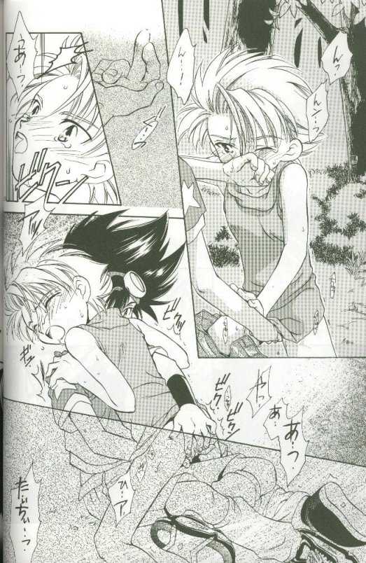 (C58) [Megumi (Saitoh Maho)] Cyber Frontier (Digimon Adventure) - Page 34