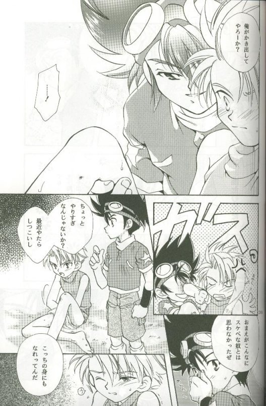 (C58) [Megumi (Saitoh Maho)] Cyber Frontier (Digimon Adventure) - Page 37