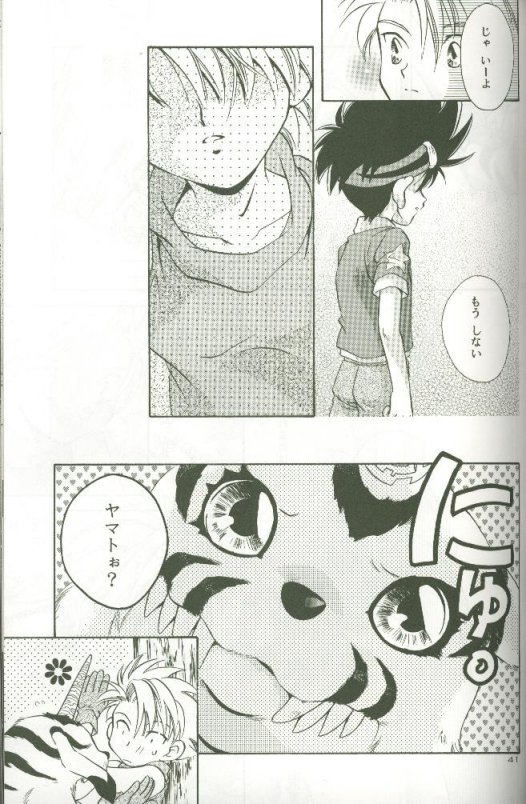 (C58) [Megumi (Saitoh Maho)] Cyber Frontier (Digimon Adventure) - Page 39