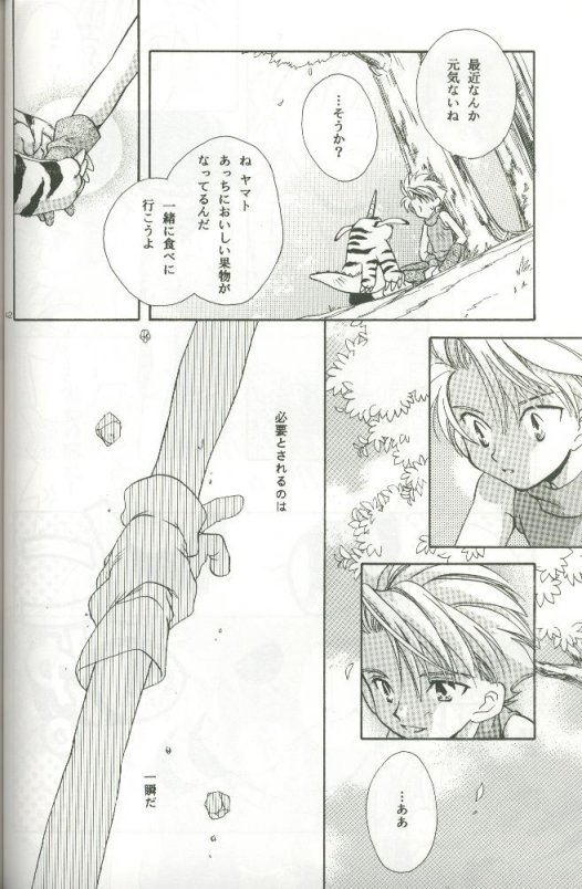 (C58) [Megumi (Saitoh Maho)] Cyber Frontier (Digimon Adventure) - Page 40