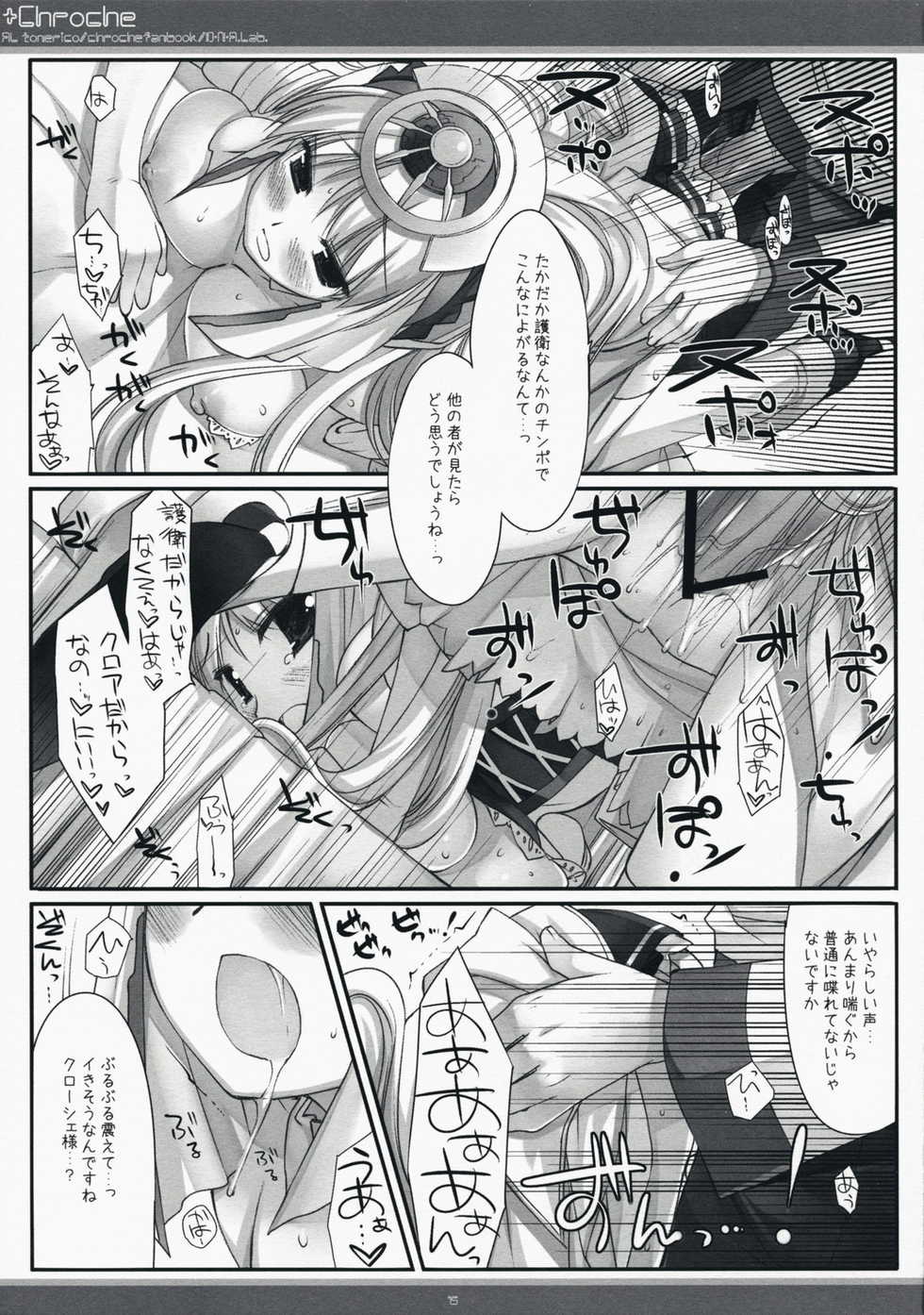 (C73) [D.N.A.Lab. (Miyasu Risa)] x Chroche (Ar tonelico II: Melody of Metafalica) - Page 14