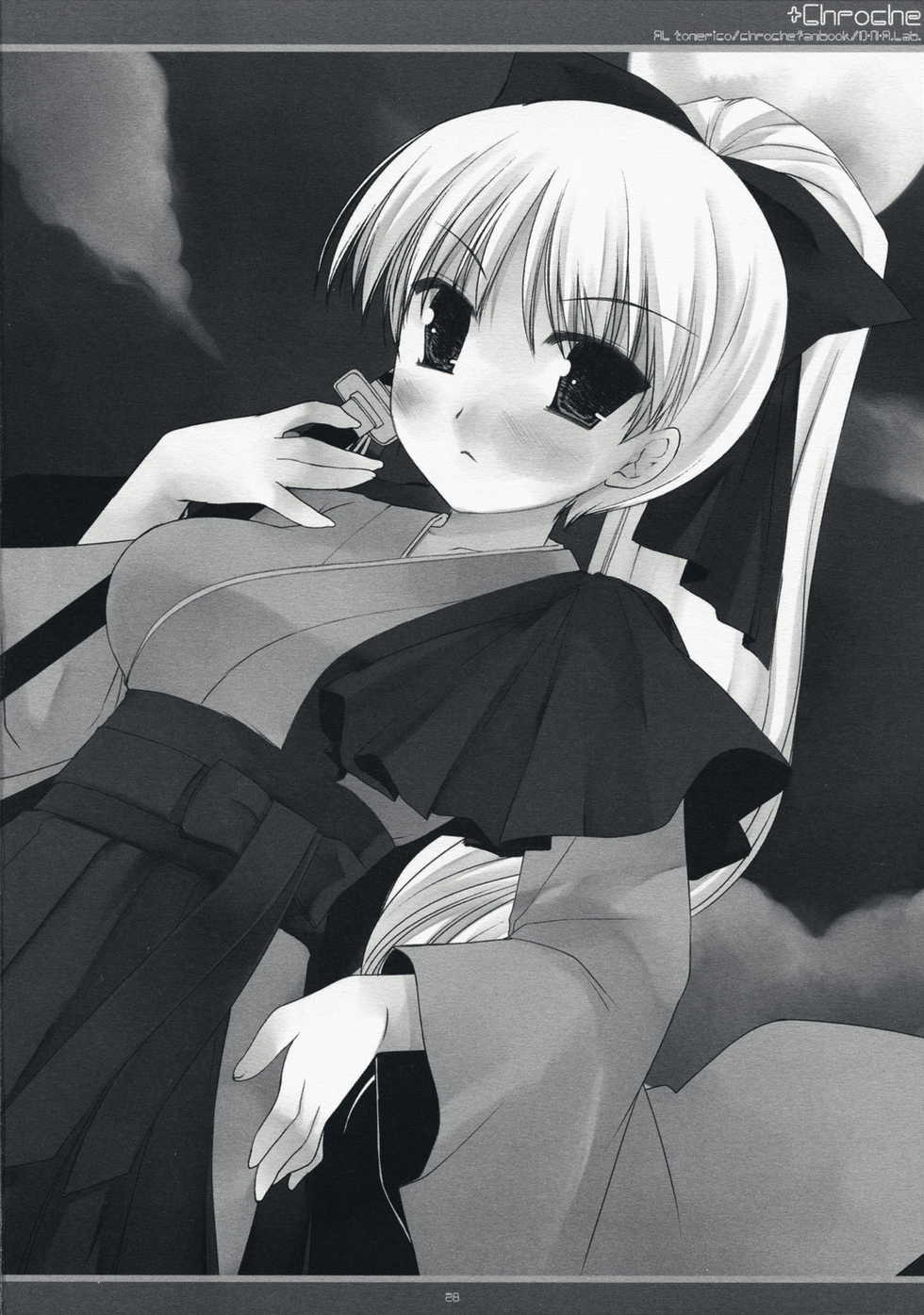 (C73) [D.N.A.Lab. (Miyasu Risa)] x Chroche (Ar tonelico II: Melody of Metafalica) - Page 27