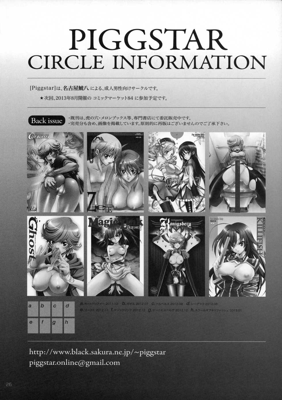 (C83) [PIGGSTAR (Nagoya Shachihachi)] Magic Link (Magi: The Labyrinth of Magic) - Page 24