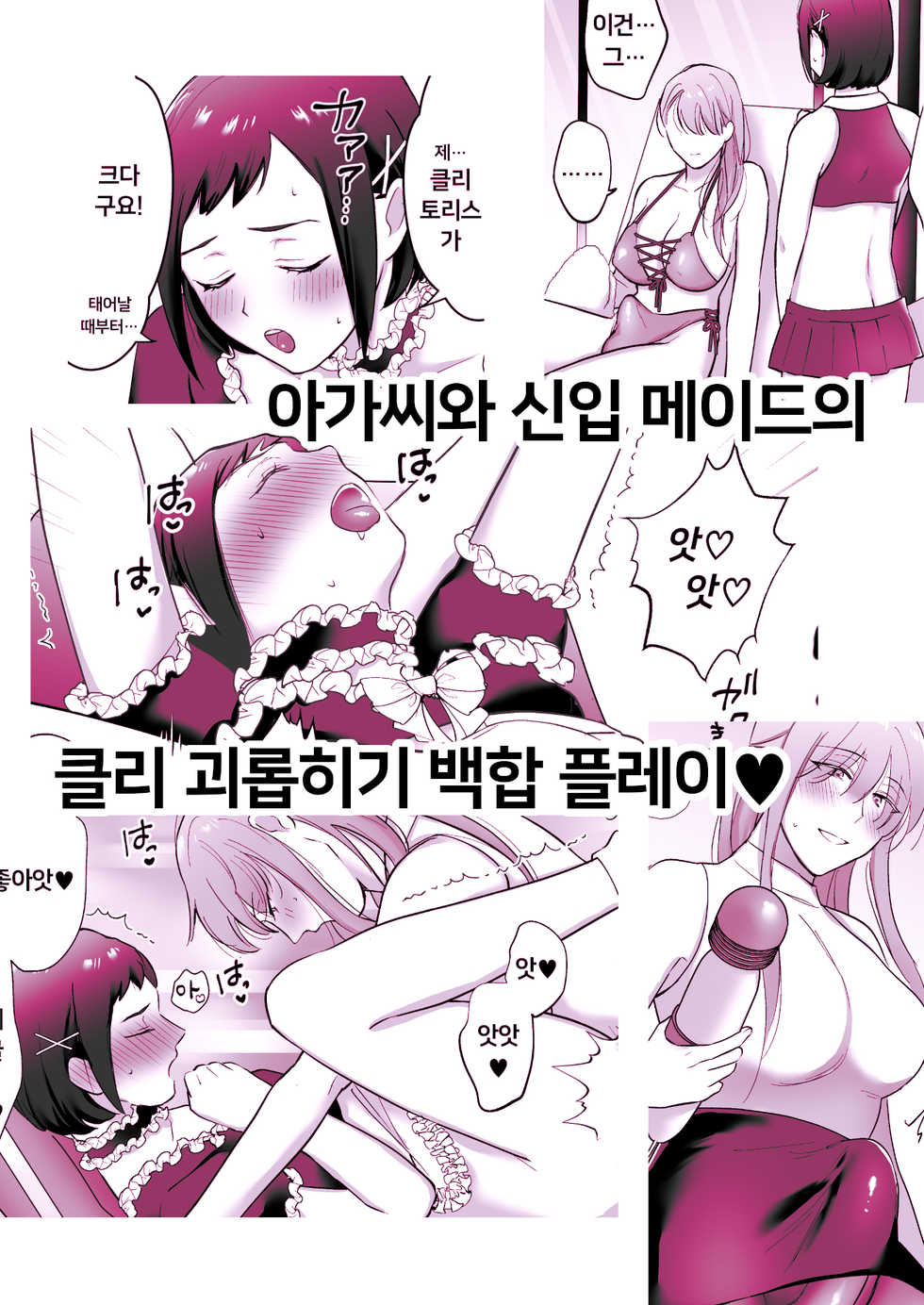 [Ikinariya (Ikinari)] Okkiin desu! ~Futanari Ojou-sama to Kyocli Maid-chan~ㅣ크다구요! ~후타나리 아가씨와 거대클리 메이드 쨩~ [Korean] - Page 20