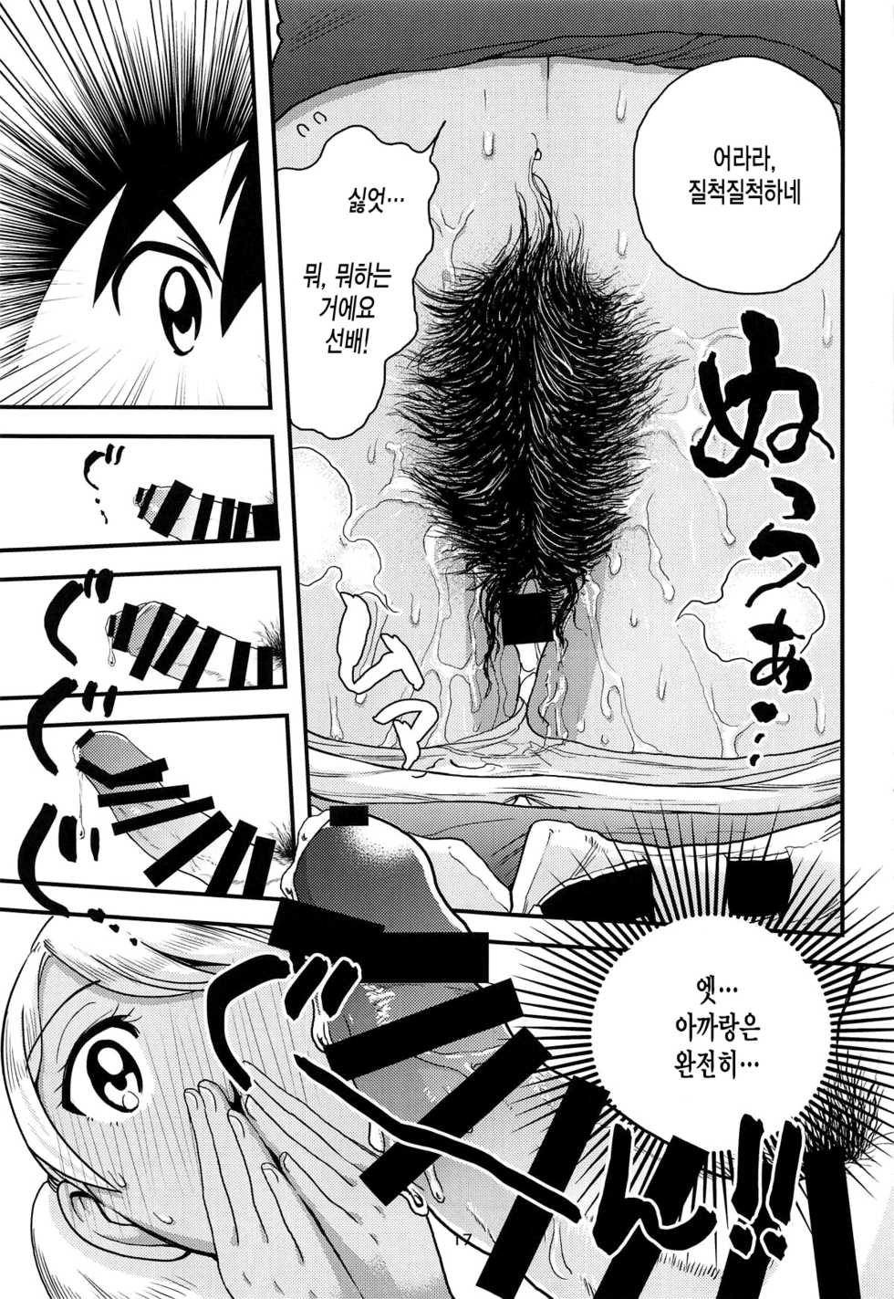 (C96) [Inmou Koimentsu (Banishingu Teruo)] Anita-tachi no Inbon (MAJOR 2nd) [Korean] - Page 18