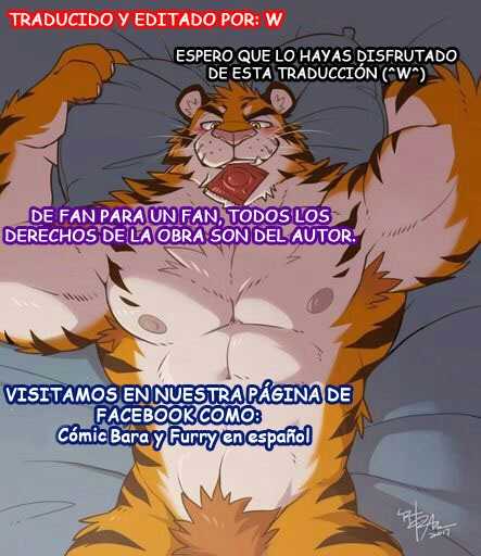 (Kansai! Kemoket 5) [Yuutopia (Oaks)] Shunka Shutoh [Spanish] - Page 23