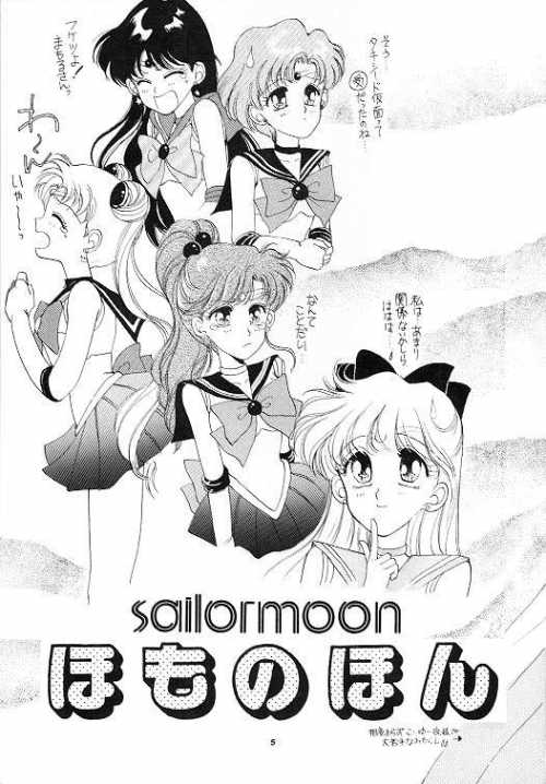 [Oomitsutou (Hayami Masumi, Tokugawa Ranko)] Homo no Hon SIDE A (Sailormoon) - Page 3