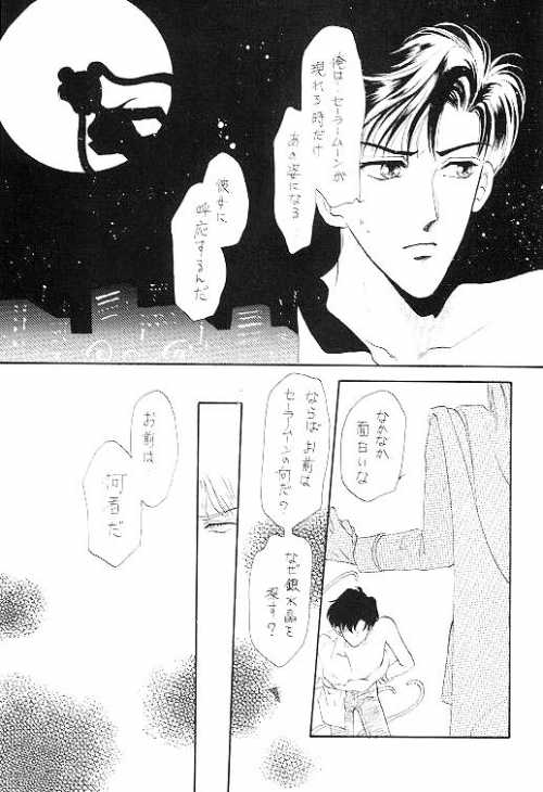 [Oomitsutou (Hayami Masumi, Tokugawa Ranko)] Homo no Hon SIDE A (Sailormoon) - Page 14