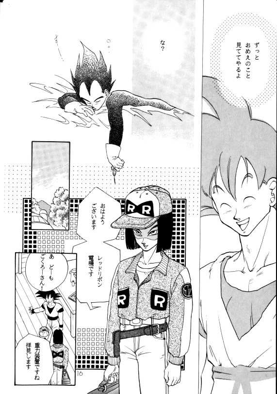 (C42) [PAOZ (Entenka Kurara)] Aisazu ni Irarenai (Dragonball Z) - Page 13