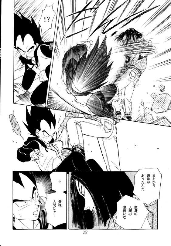 (C42) [PAOZ (Entenka Kurara)] Aisazu ni Irarenai (Dragonball Z) - Page 19