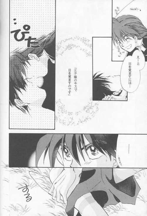 [Passport Shinsengumi (Matsumoto Yuuka)] HALF & HALF (Gundam Wing) - Page 26