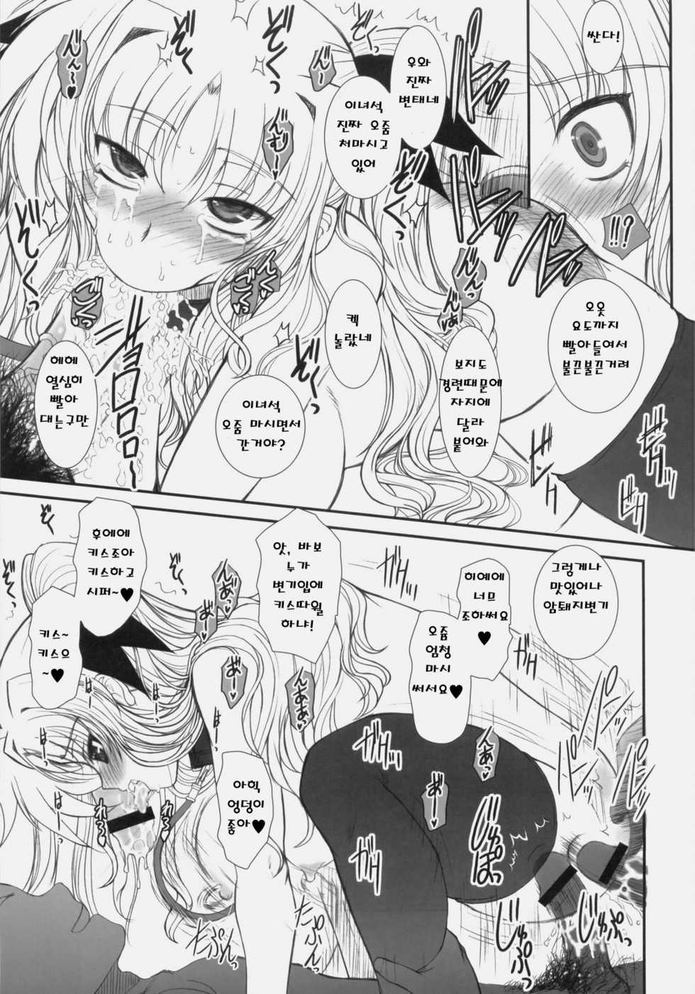 (C76) [Dieppe Factory (Alpine)] FATE FIRE WITH FIRE 3 (Mahou Shoujo Lyrical Nanoha) [Korean] - Page 18