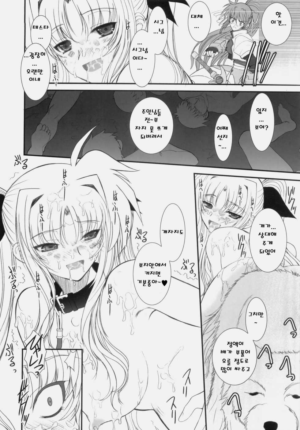 (C76) [Dieppe Factory (Alpine)] FATE FIRE WITH FIRE 3 (Mahou Shoujo Lyrical Nanoha) [Korean] - Page 27