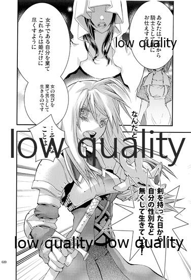 (C84) [Annin (Tooka)] R18 Soushuuhen (Final Fantasy Tactics) - Page 19