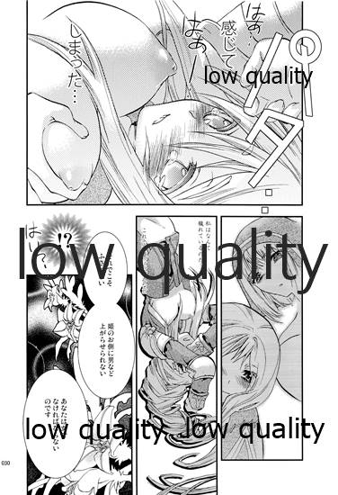 (C84) [Annin (Tooka)] R18 Soushuuhen (Final Fantasy Tactics) - Page 29