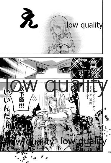 (C84) [Annin (Tooka)] R18 Soushuuhen (Final Fantasy Tactics) - Page 30