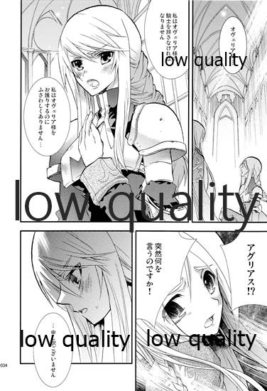 (C84) [Annin (Tooka)] R18 Soushuuhen (Final Fantasy Tactics) - Page 33