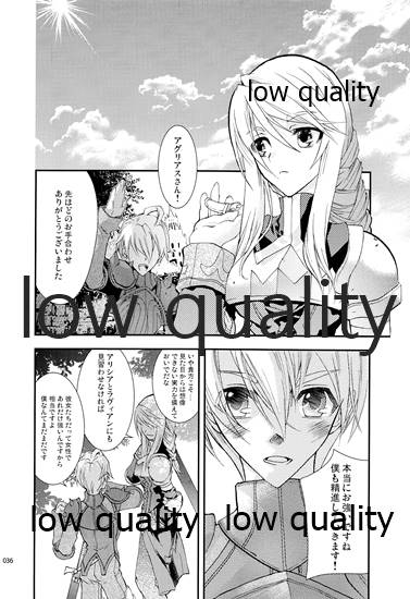 (C84) [Annin (Tooka)] R18 Soushuuhen (Final Fantasy Tactics) - Page 35