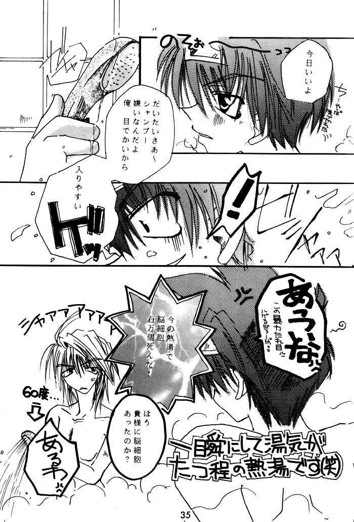 [RED DATA BOOK (Amano Ryuuki)] SHANGRILA (Saiyuki) - Page 35