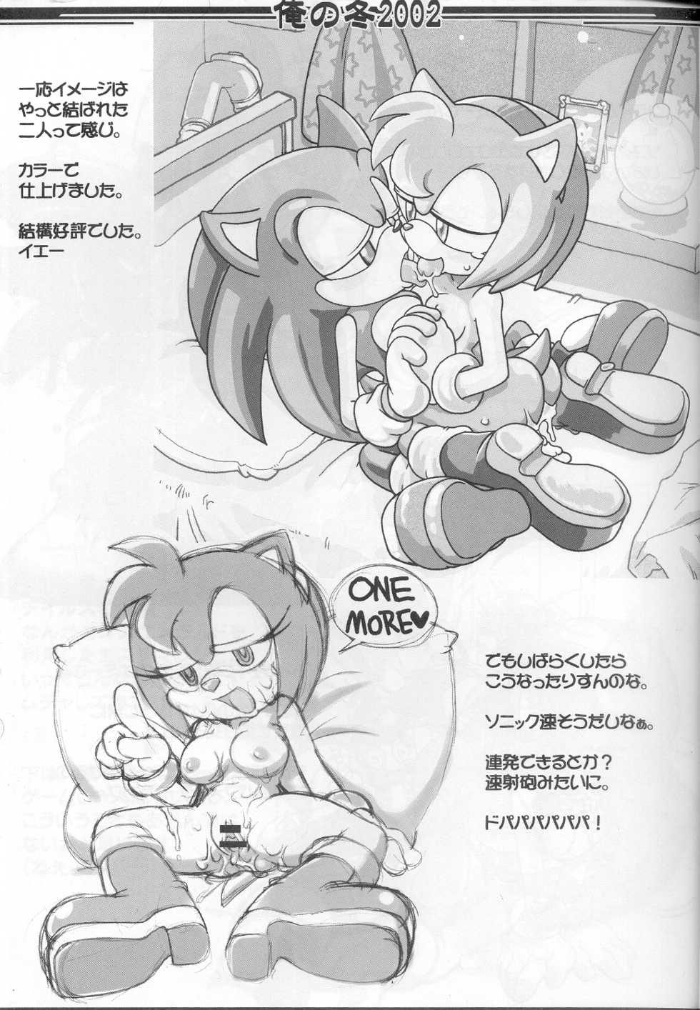 (C63) [Tengai Aku Juumonji (Tojyo)] Ore No Fuyu 2002 (Sonic The Hedgehog, Various) - Page 6