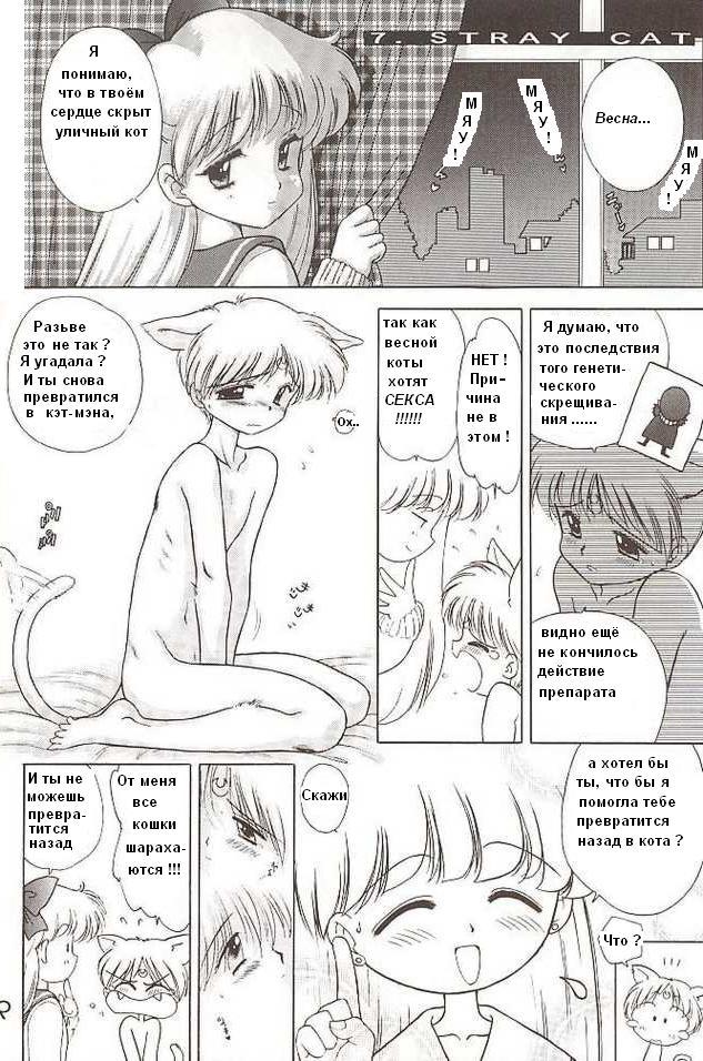 SailorMoon (Artemis - stray cat) (RUS) - Page 2