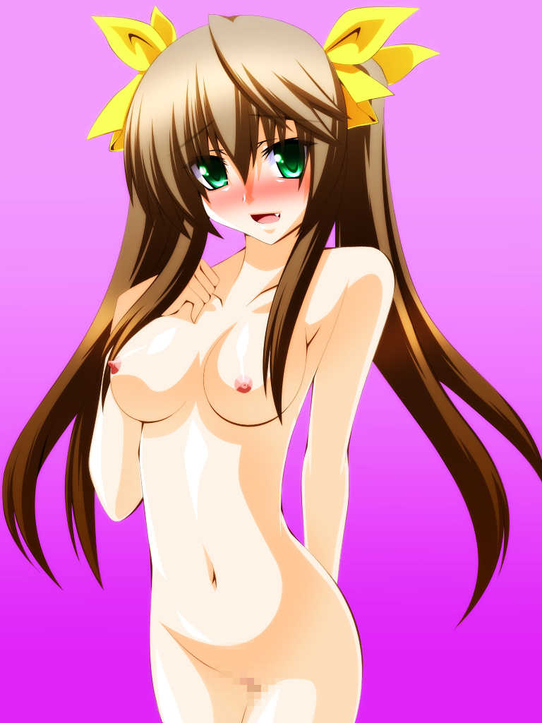 [Fake gate] Infinite STRATOS (IS <Infinite Stratos>) - Page 9