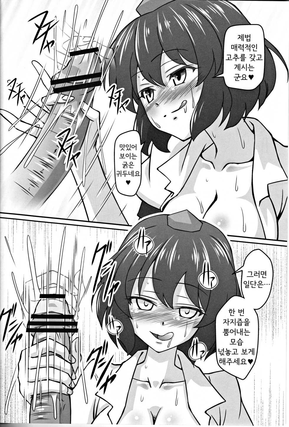 (C79) [Galaxy Monooki (Hanazuka Ryouji)] Bitch Spoilerㅣ빗치 스포일러 (Touhou Project) [Korean] - Page 12