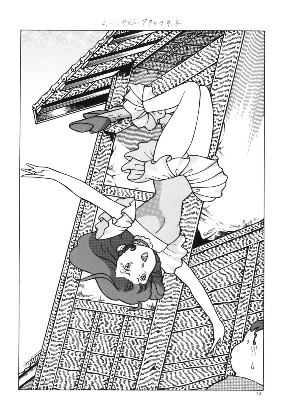 [Bondage Company (Dirty Matsumoto)] Bondage Women's Pro Wrestling 2 - Page 23