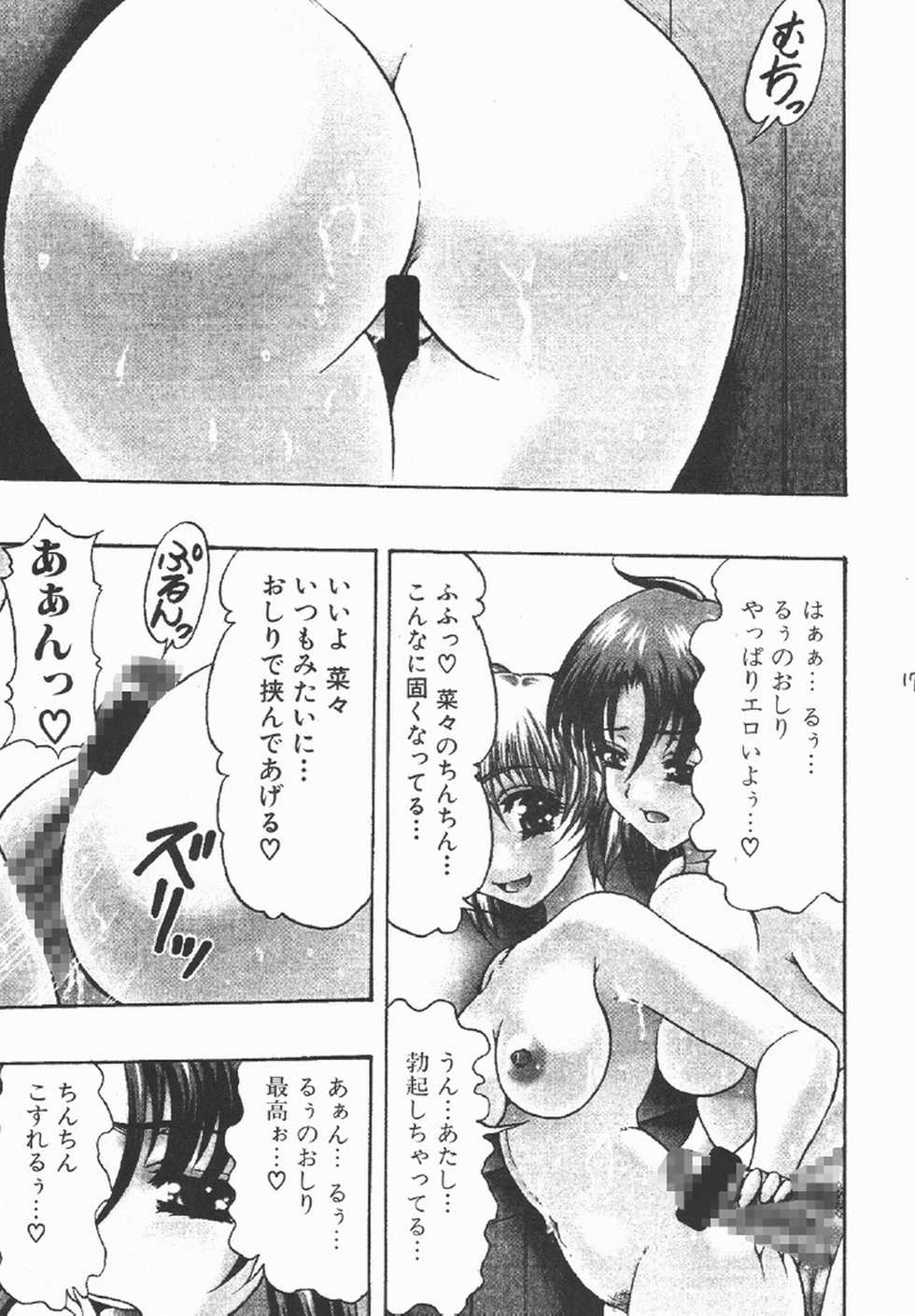 (C69) [Acid Noel (Mitsuki Rintarou)] Icon (GUN X SWORD) - Page 17