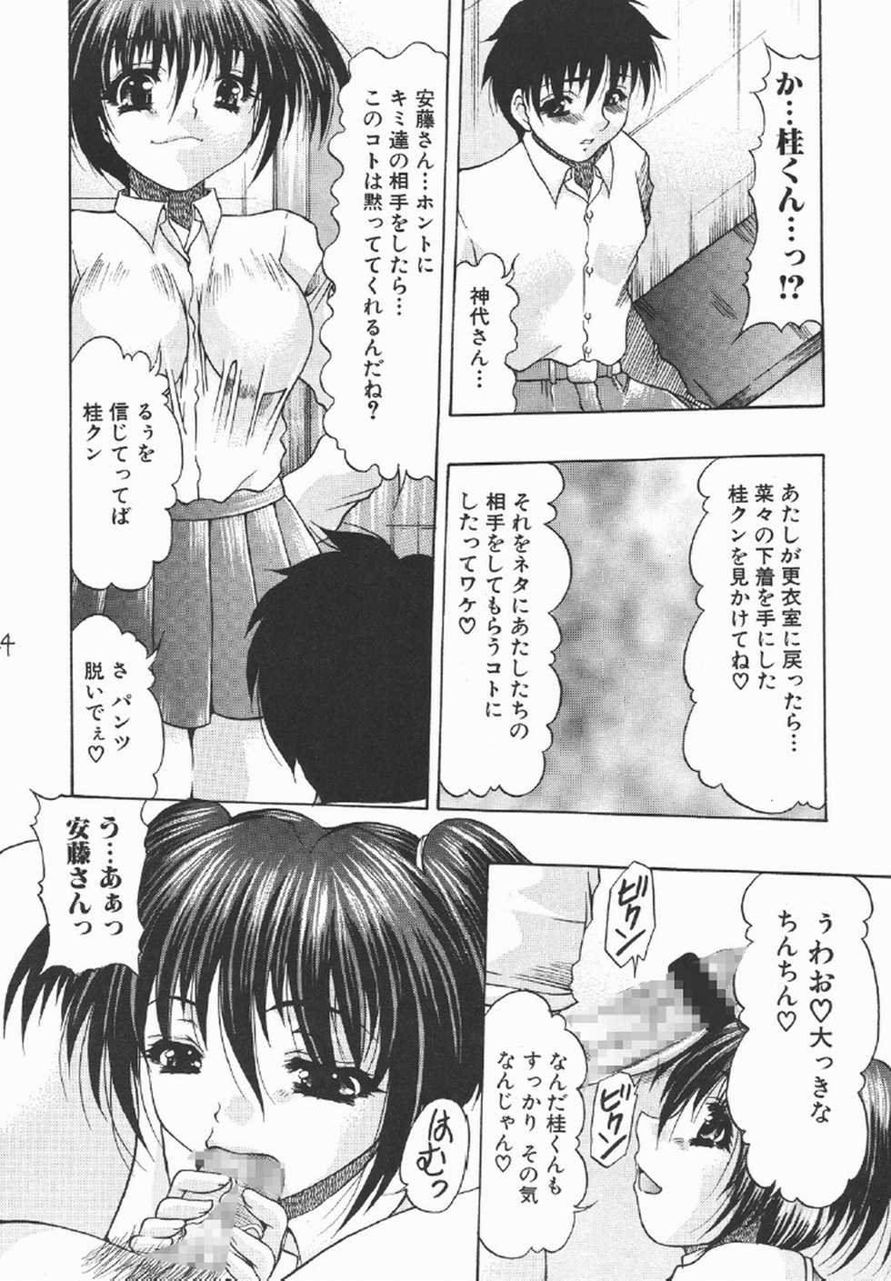 (C69) [Acid Noel (Mitsuki Rintarou)] Icon (GUN X SWORD) - Page 24