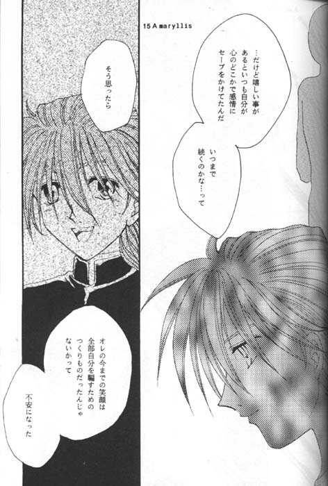 [Youkai Club (Hazuki Ayanosuke)] Amaryllis (Gundam Wing) - Page 13