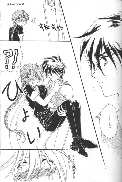 [Youkai Club (Hazuki Ayanosuke)] Amaryllis (Gundam Wing) - Page 25