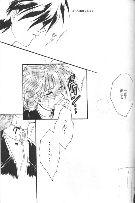 [Youkai Club (Hazuki Ayanosuke)] Amaryllis (Gundam Wing) - Page 29