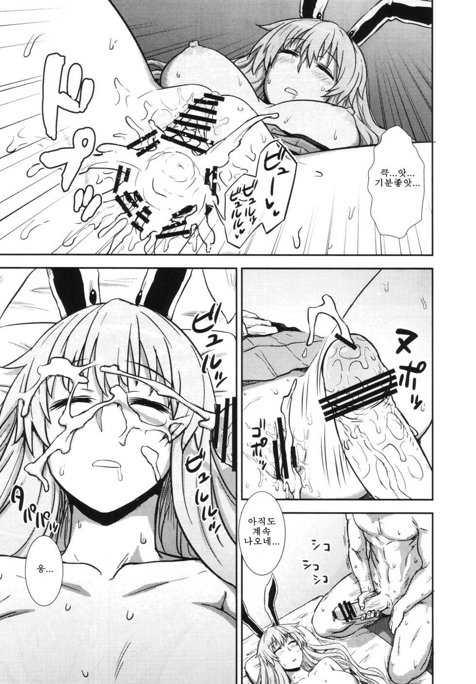 (Reitaisai 9) [Ryokucha Combo (Various)] Touhou Suiminkan Goudoushi (Touhou Project) (korean) (part) - Page 16