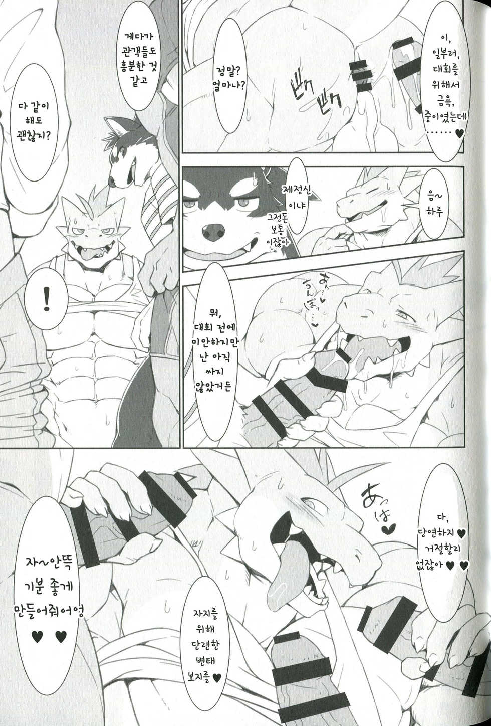 (Kemoket 8) [Dragon Island (Toriaezu, Kuroma)] Kinniku o Tsukereba Tsukeru hodo Manko ga Binkan ni Naru Sekai | 근육이 붙으면 붙을수록 보지가 민감해지는 세계 [Korean] - Page 8