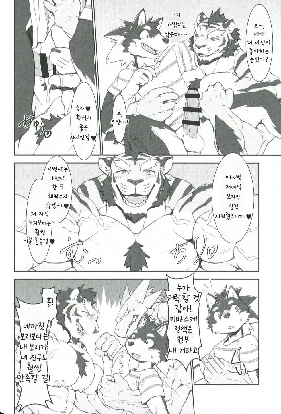 (Kemoket 8) [Dragon Island (Toriaezu, Kuroma)] Kinniku o Tsukereba Tsukeru hodo Manko ga Binkan ni Naru Sekai | 근육이 붙으면 붙을수록 보지가 민감해지는 세계 [Korean] - Page 17