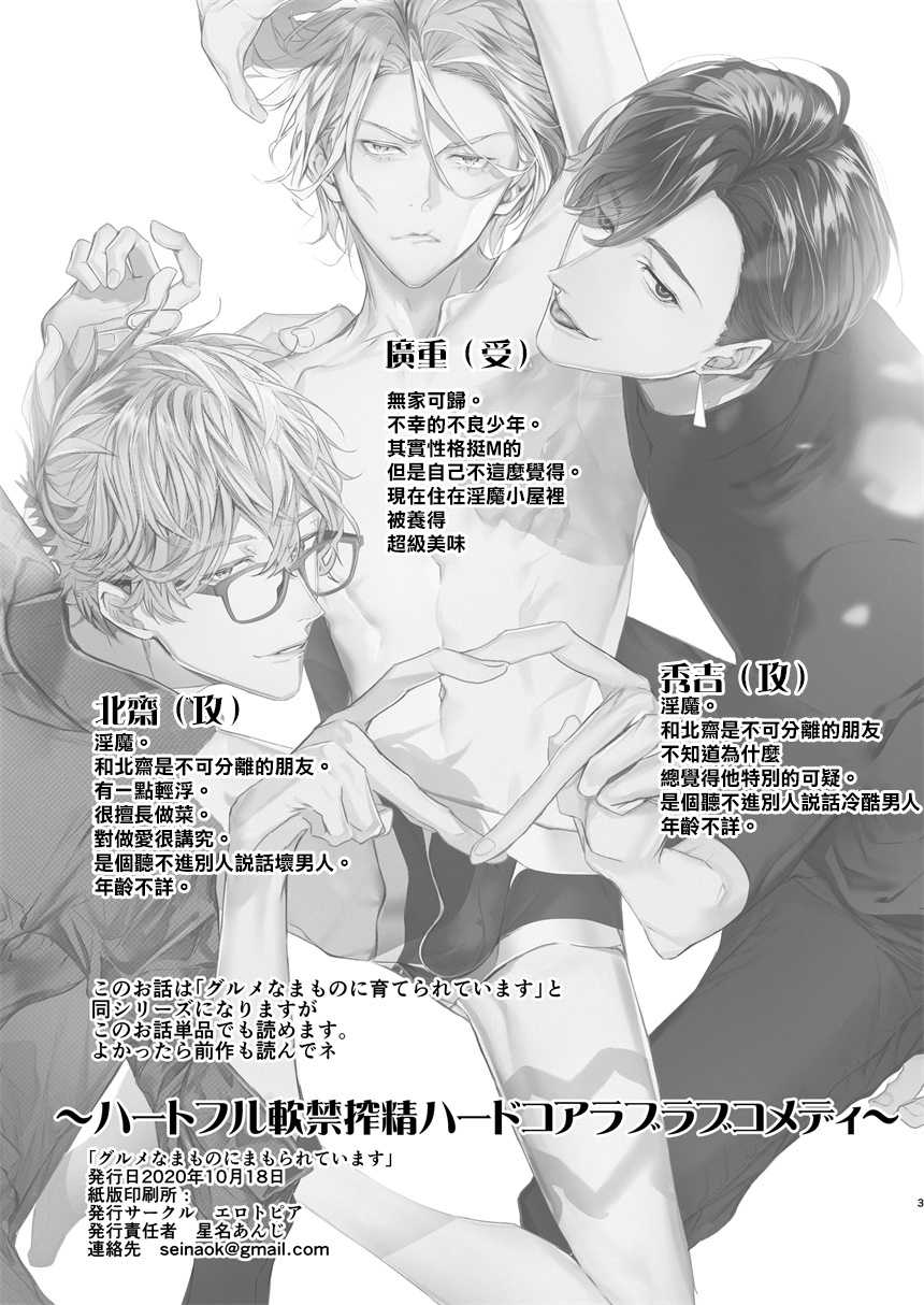 [Erotopia (Seina Anji)] Gourmet na Mamono ni Mamorarete imasu | 被美食家恶魔保护 [Chinese] [拾荒者汉化组] [Digital] - Page 2
