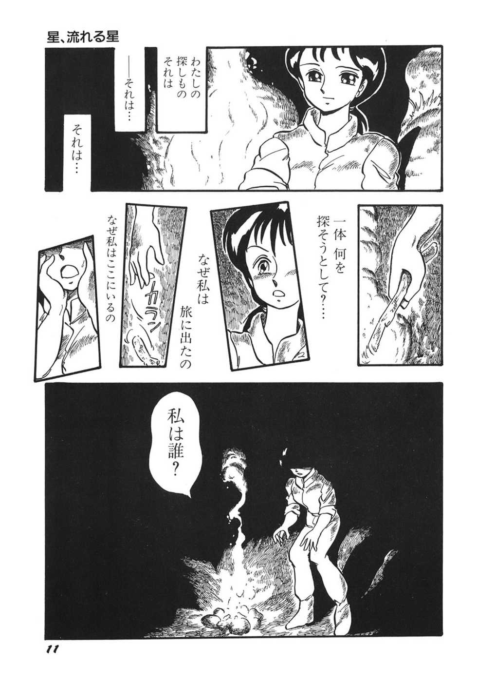 [Shinda Mane] RAKE - Page 14
