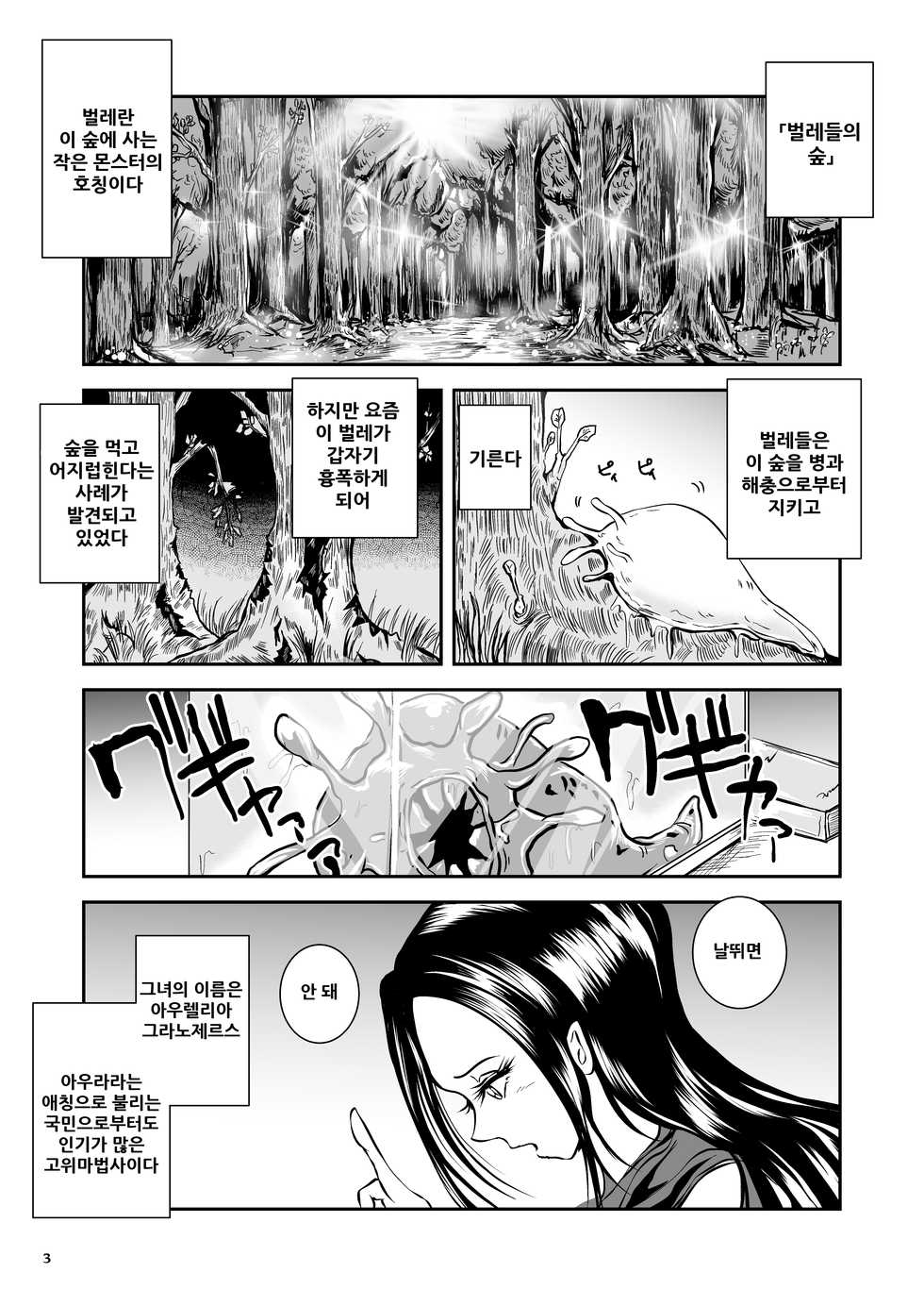 [Erotic Fantasy Larvaturs (Takaishi Fuu)] Oonamekuji to Kurokami no Mahoutsukai - Parasitized Giant Slugs V.S. Sorceress of the Black Hair as Aura [Korean] [Digital] - Page 4