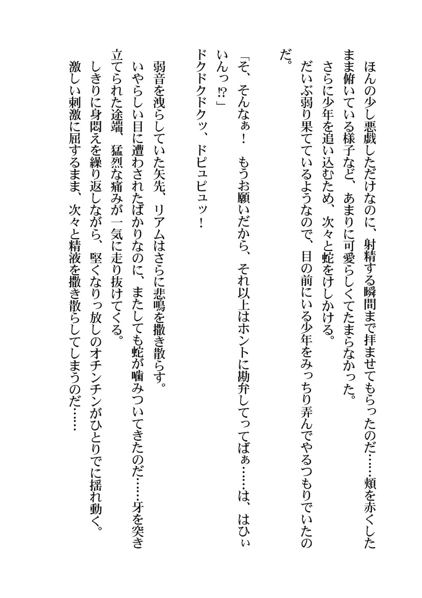 [Aidon Raiki (Sorano Suzume)] Shounen Yuusha ga Succubus no Geboku ni Naru made - Page 16