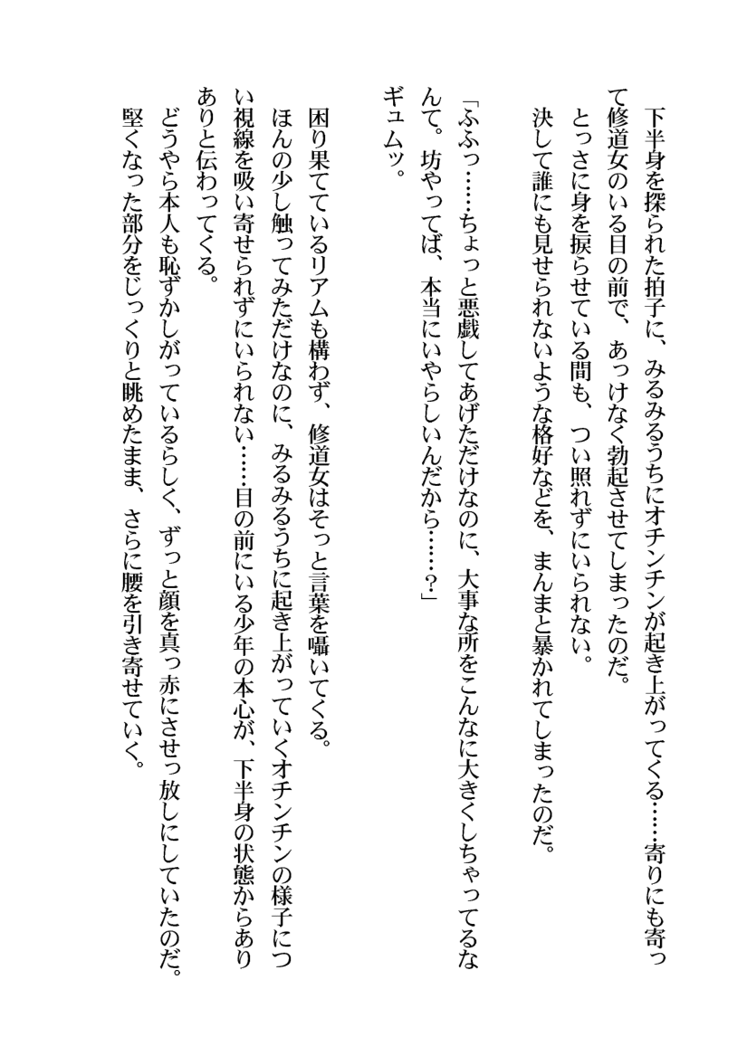 [Aidon Raiki (Sorano Suzume)] Shounen Yuusha ga Succubus no Geboku ni Naru made - Page 29